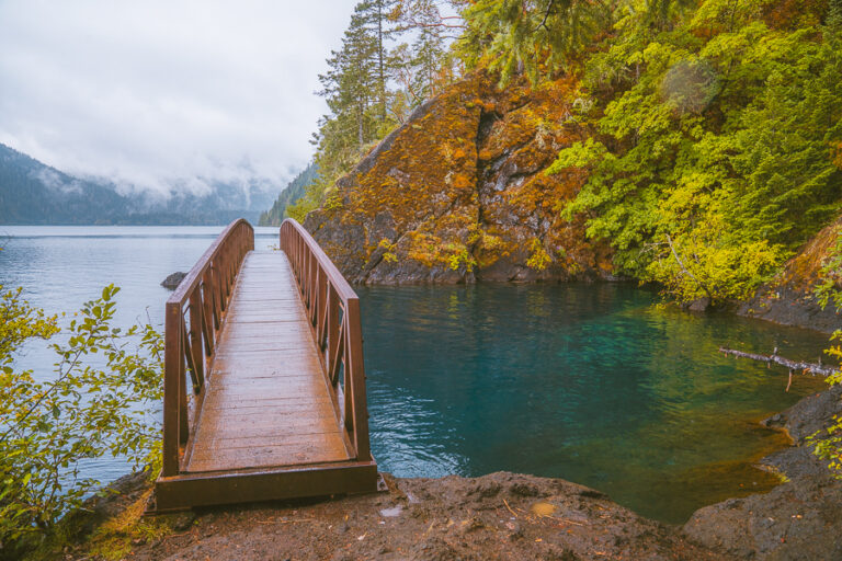 Best Time To Visit Olympic National Park Guide The Wandering Queen