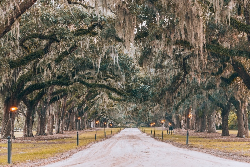 27 Best Things to Do in Charleston, SC