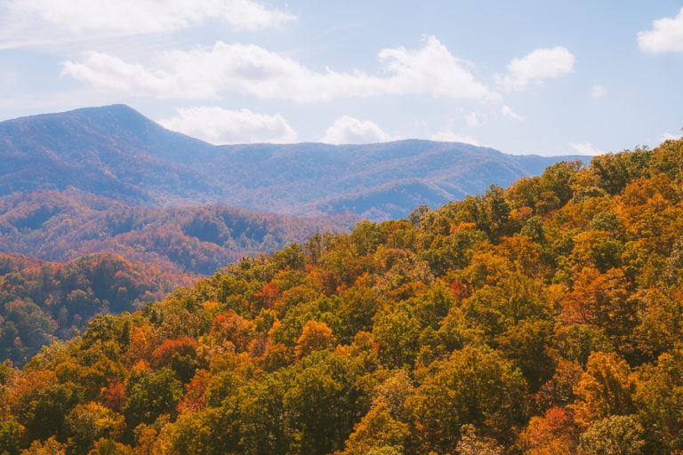 The 8 Best Great Smoky Mountain Hikes - The Wandering Queen