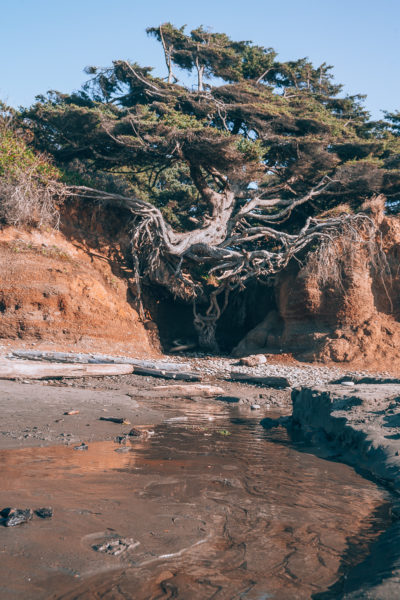 The 11 Best Washington Beaches In The State! - The Wandering Queen