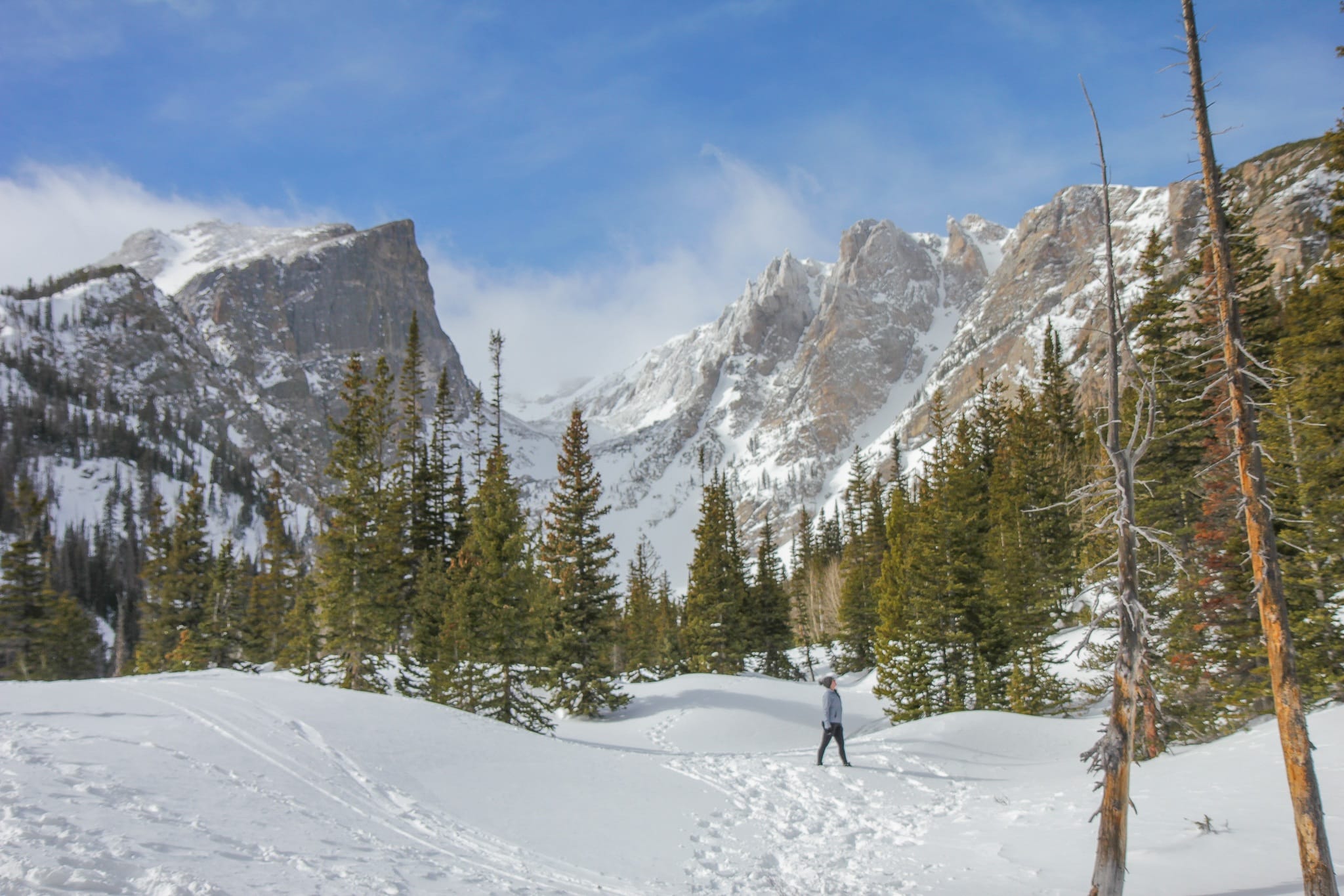 Best National Parks To Visit In Winter