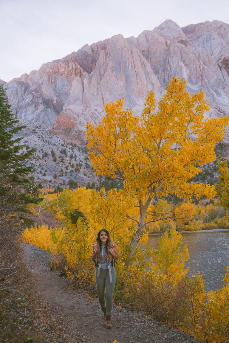 Where To Find Fall Colors Near Mammoth Lakes The Wandering Queen