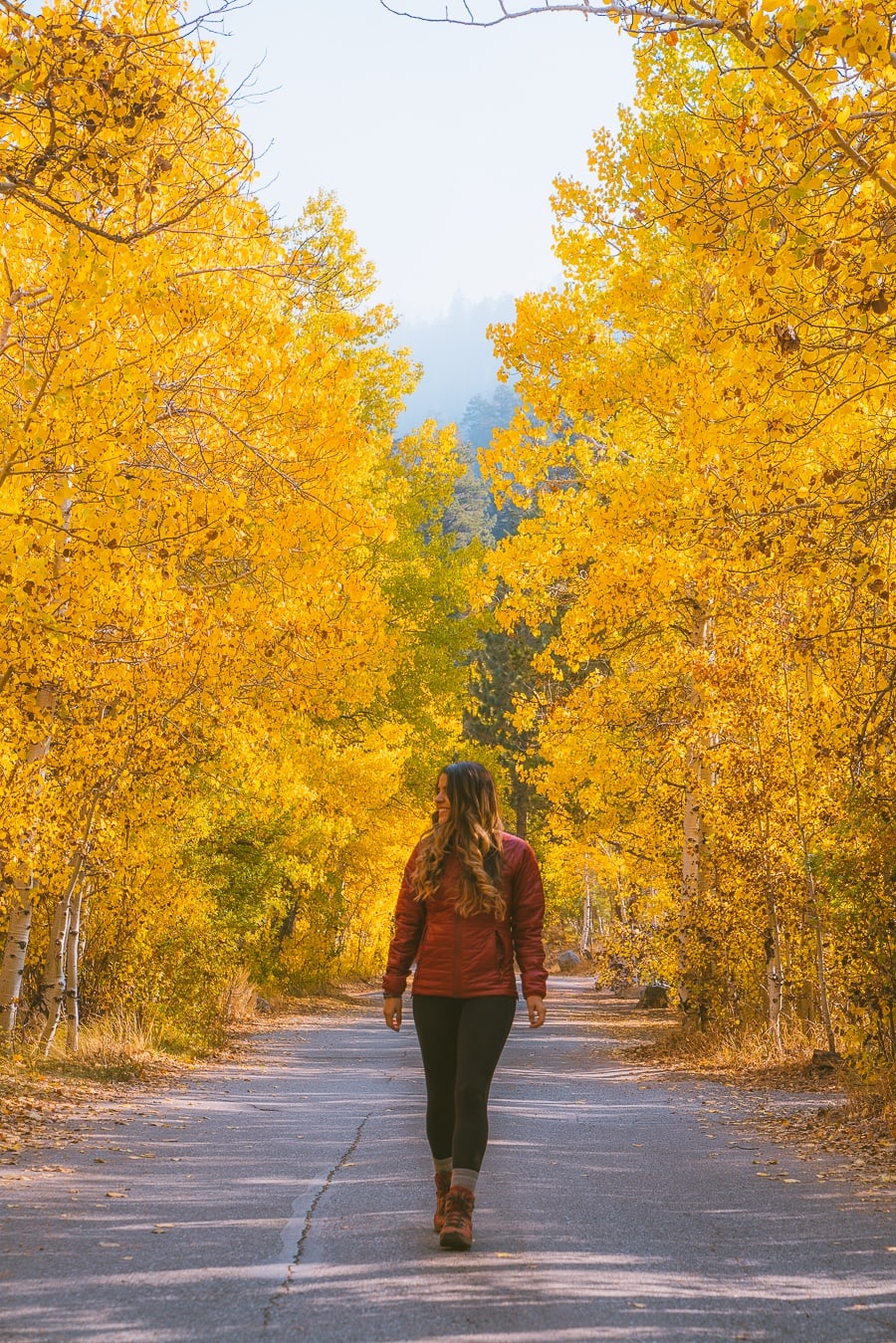 Need Fall hiking outfit inspiration? I gotchuuu 😍 Here are 5 of