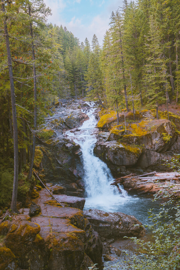 The 19 Absolute Best Mt Rainier Hikes - The Wandering Queen