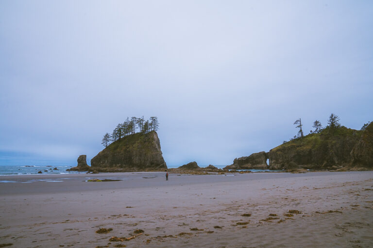 The Perfect 2-3 Day Olympic National Park Itinerary - The Wandering Queen