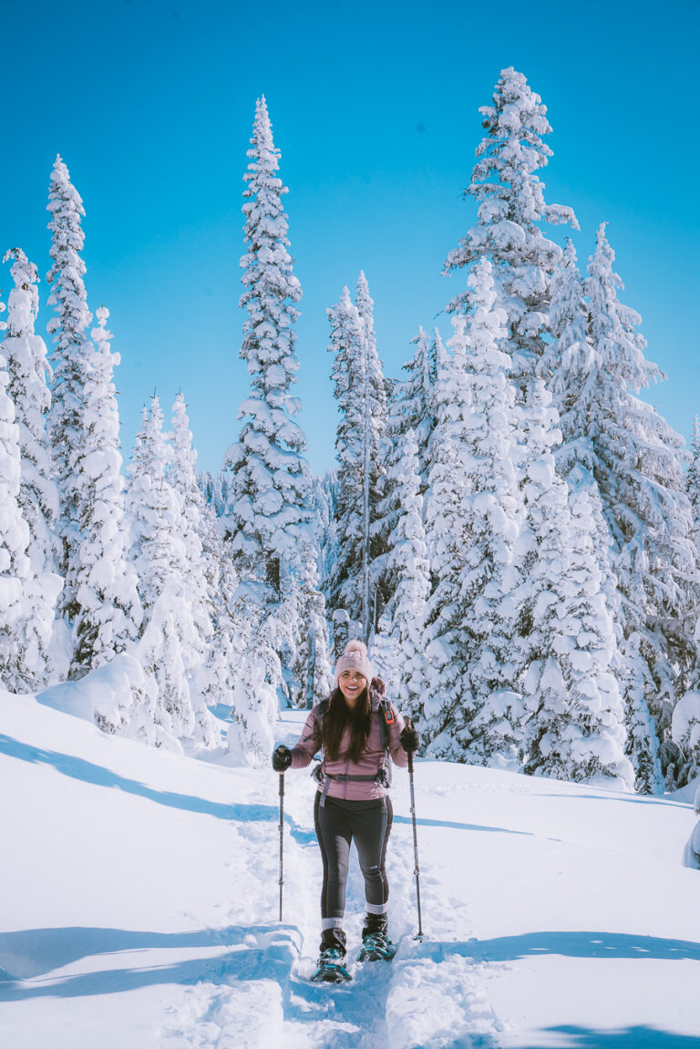 The Ultimate Guide To Snowshoeing Mt Rainier National Park - The ...