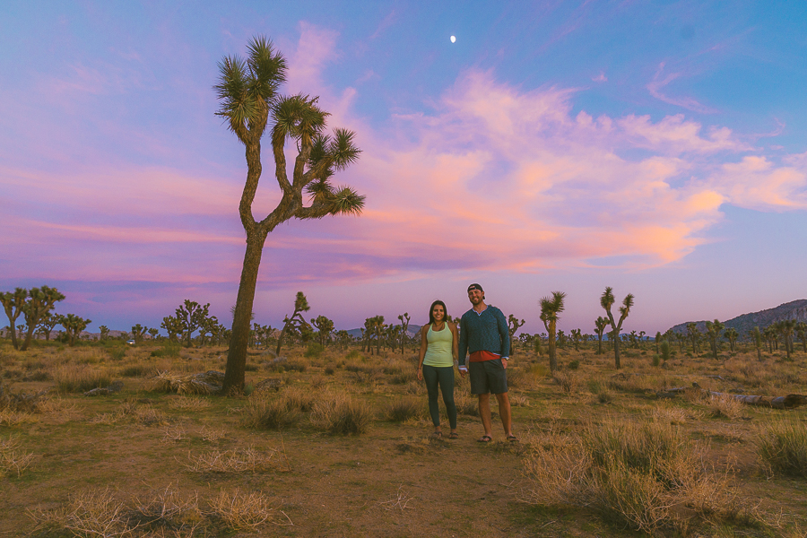 Glamping in Joshua Tree