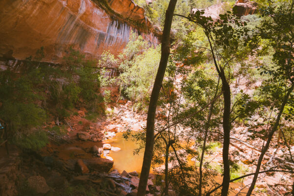 Where To Stay In Zion National Park | 14 Best Places - The Wandering Queen