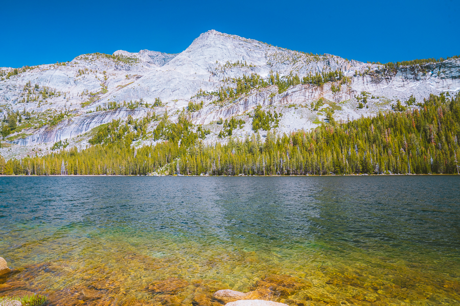 Yosemite Photography