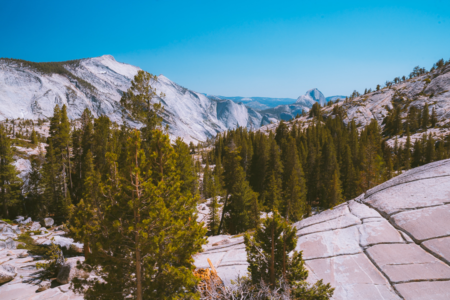 Yosemite Photography