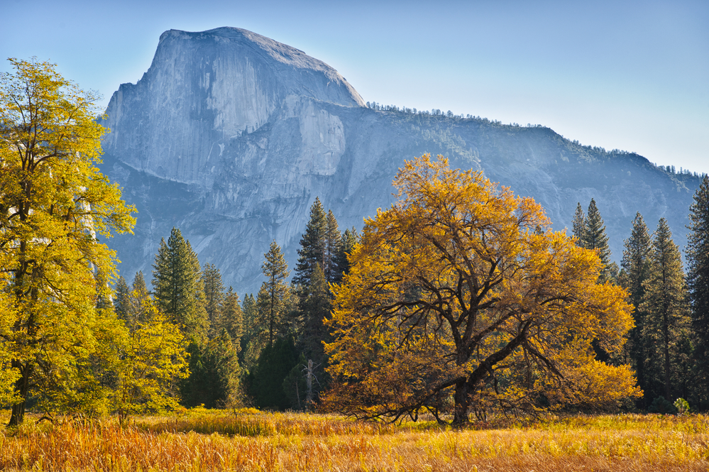 Yosemite Photography