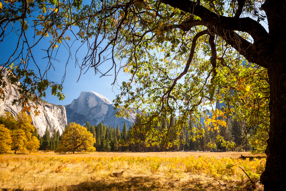 Yosemite Photography