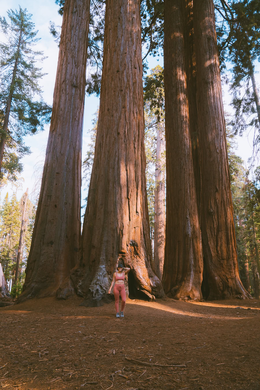 Sequoia National Park Itinerary