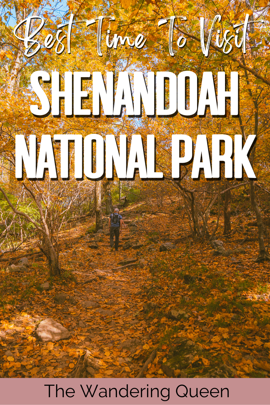 Best Time to Visit Shenandoah National Park