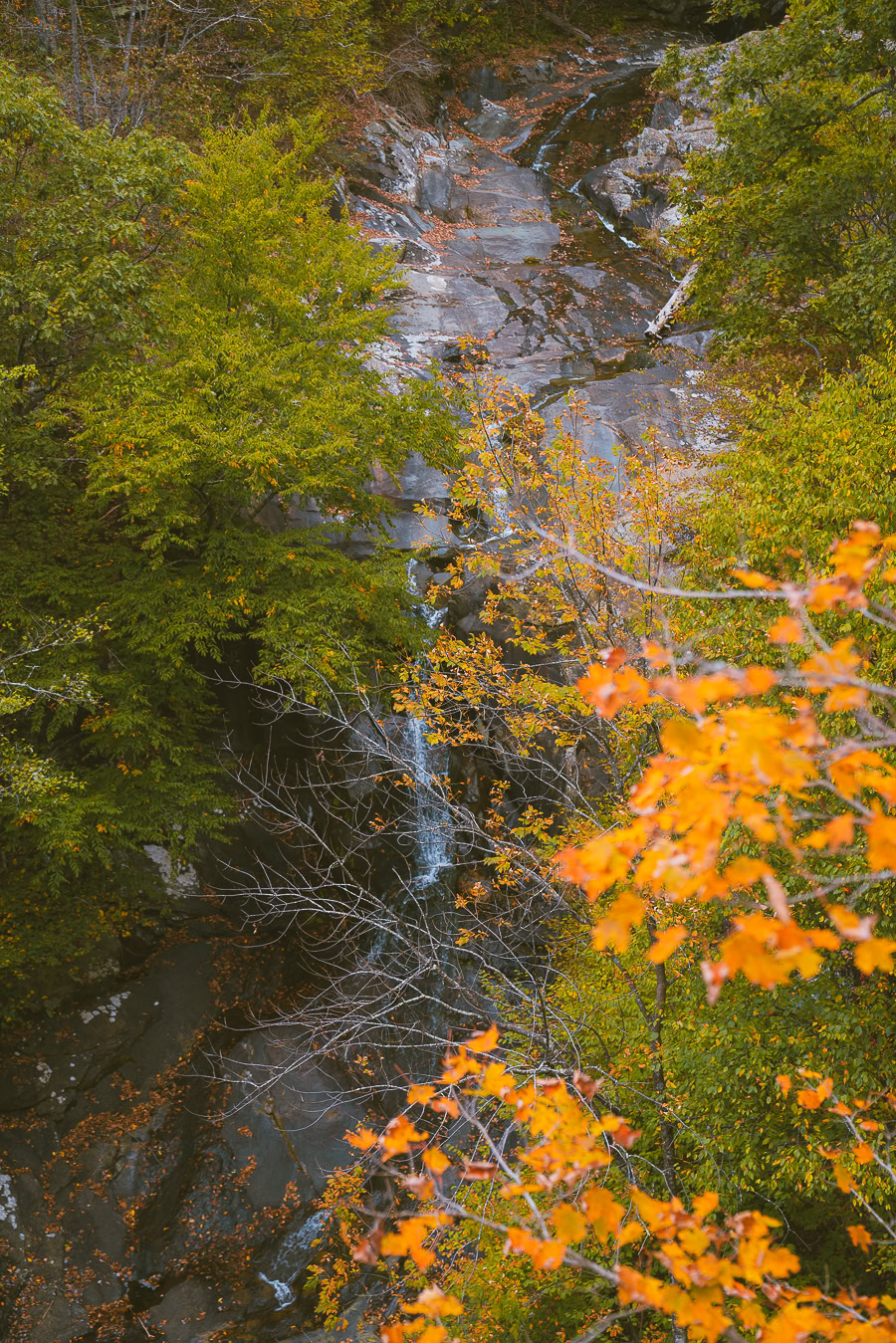 Best Time to Visit Shenandoah National Park