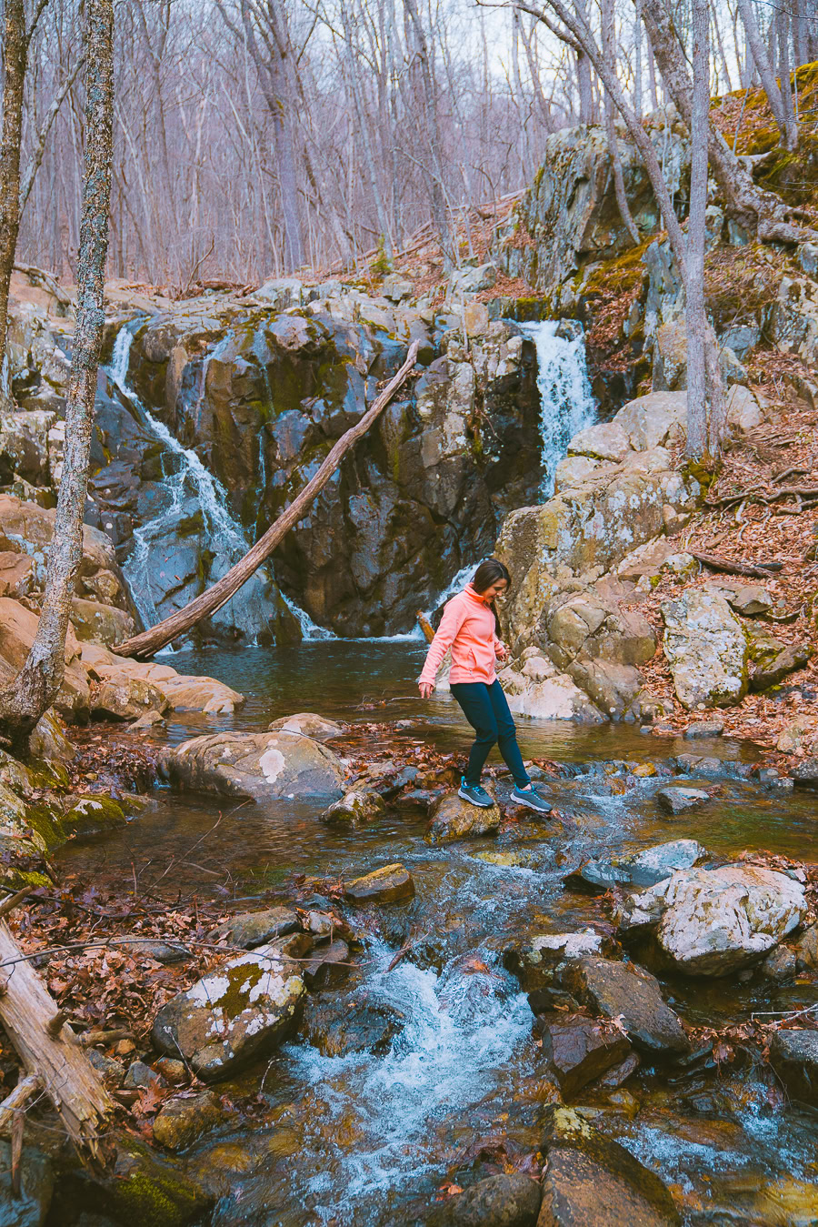 Best Time to Visit Shenandoah National Park