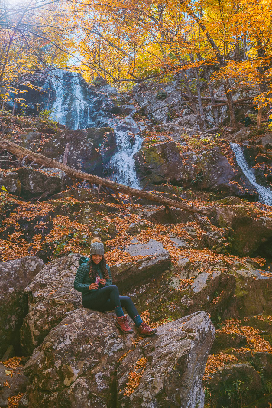 Best Time to Visit Shenandoah National Park