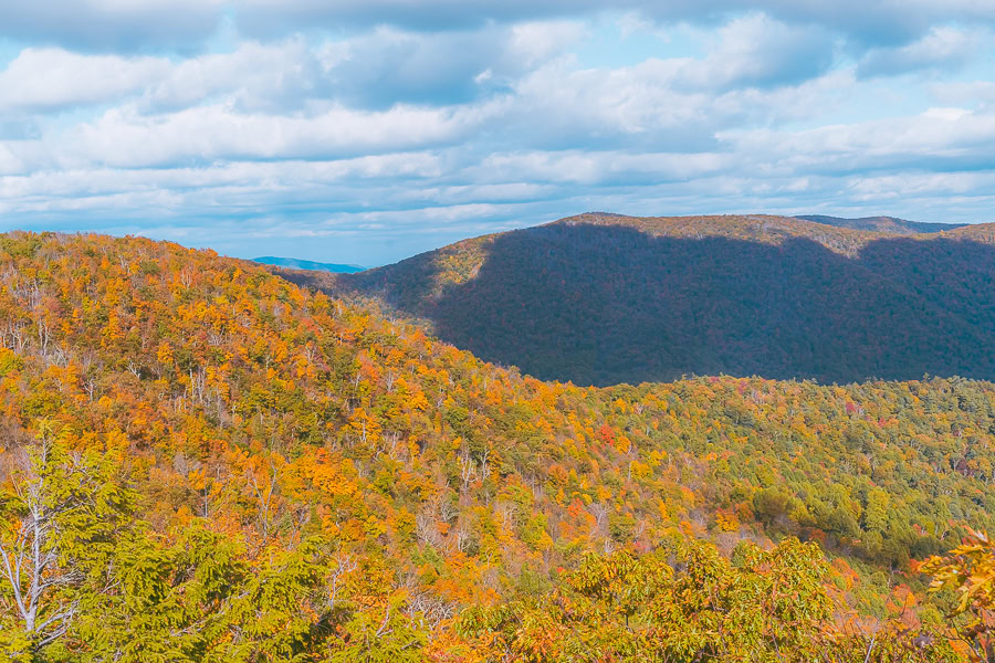 Best Time to Visit Shenandoah National Park