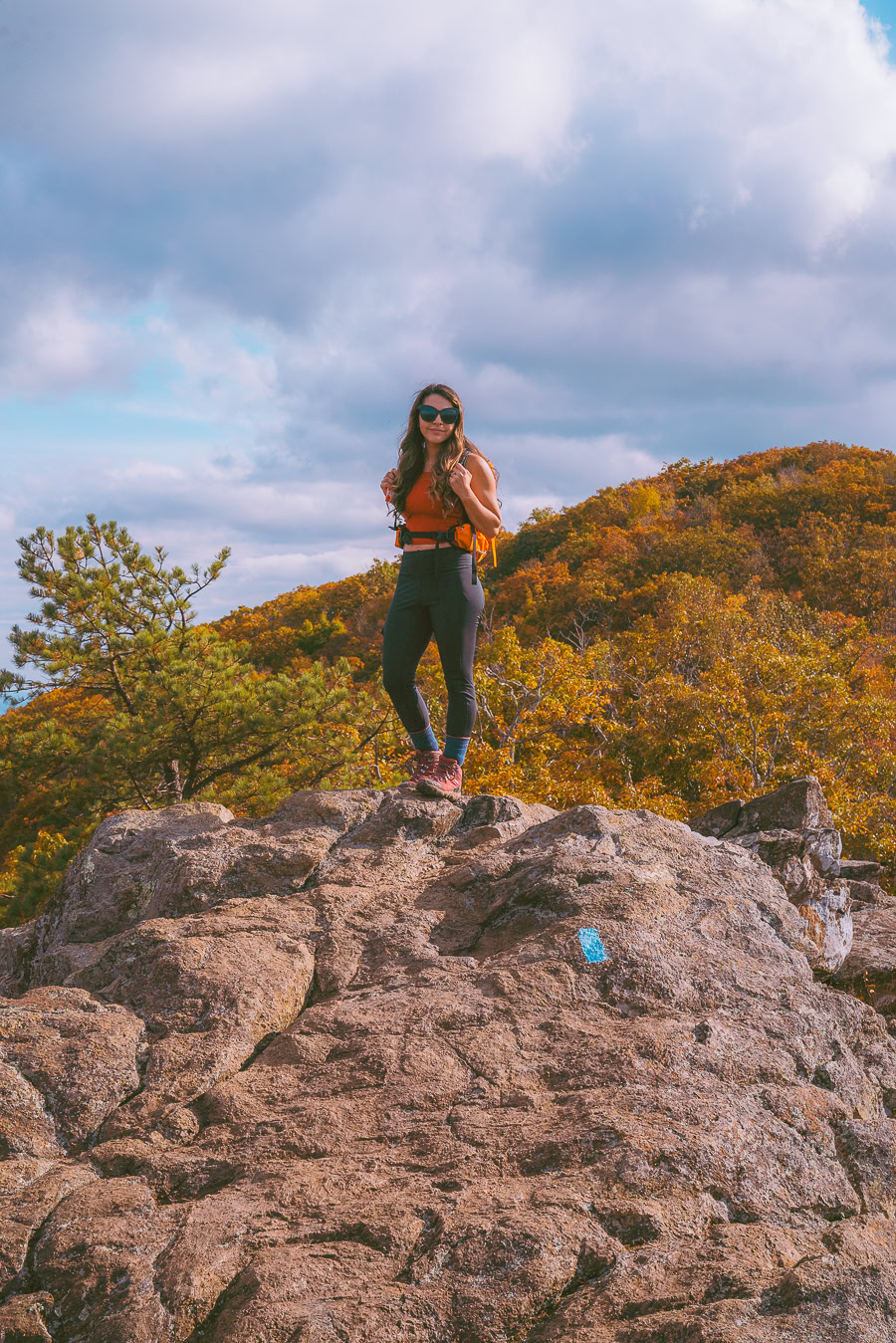 Best Time to Visit Shenandoah National Park