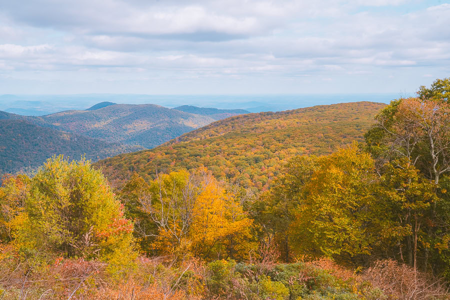 Best Time to Visit Shenandoah National Park