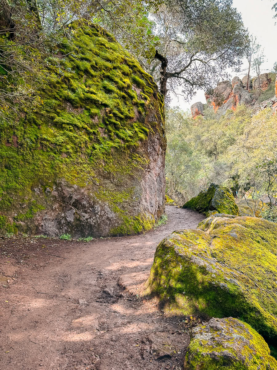 Best Time to Visit Pinnacles National Park