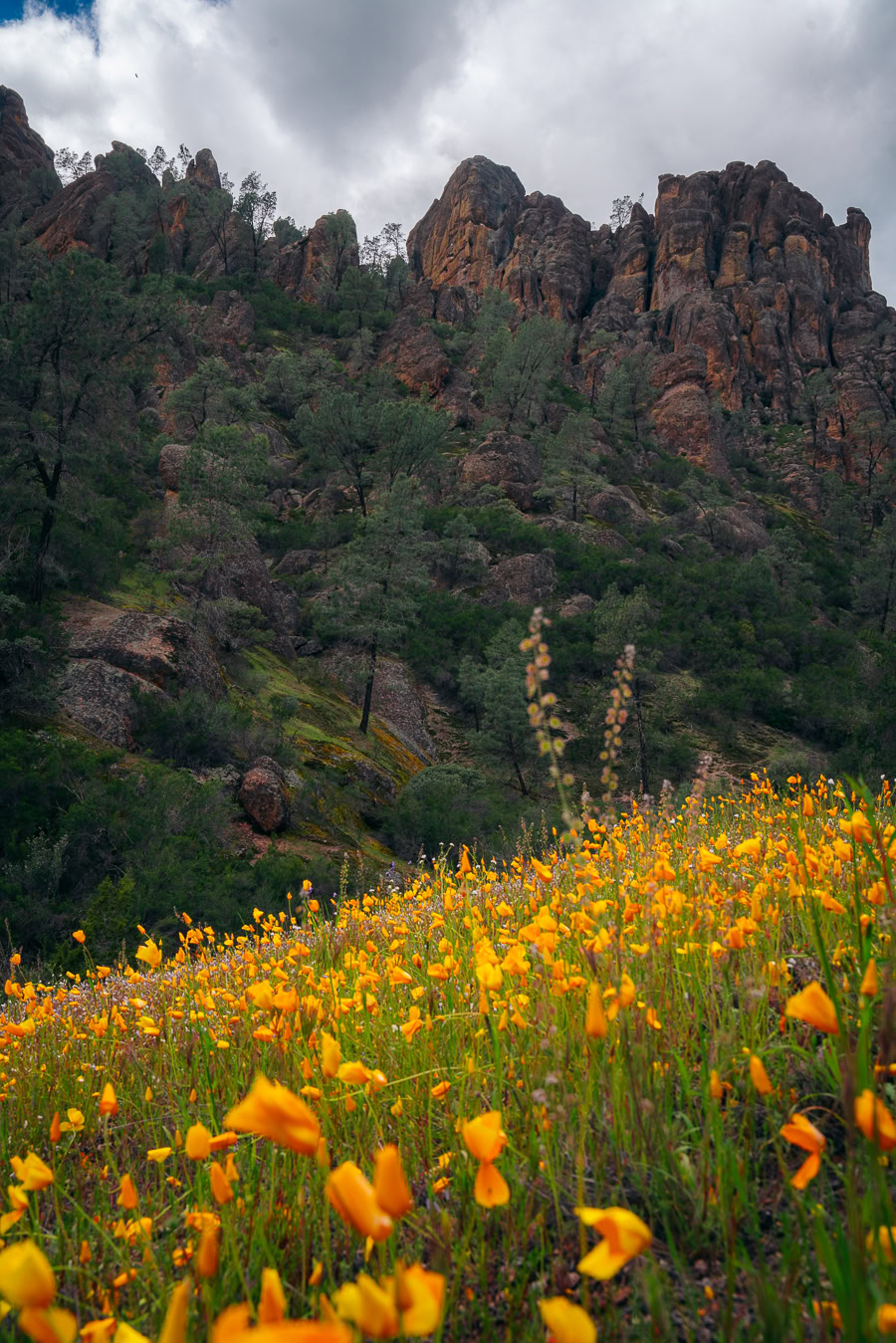 Best Time to Visit Pinnacles National Park