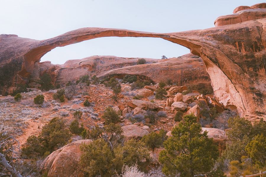 Hiking in the Desert