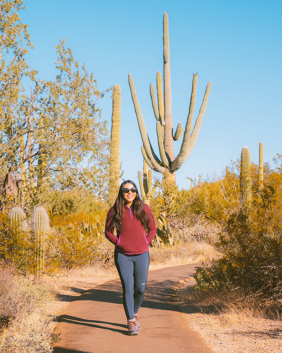 Hiking in the Desert