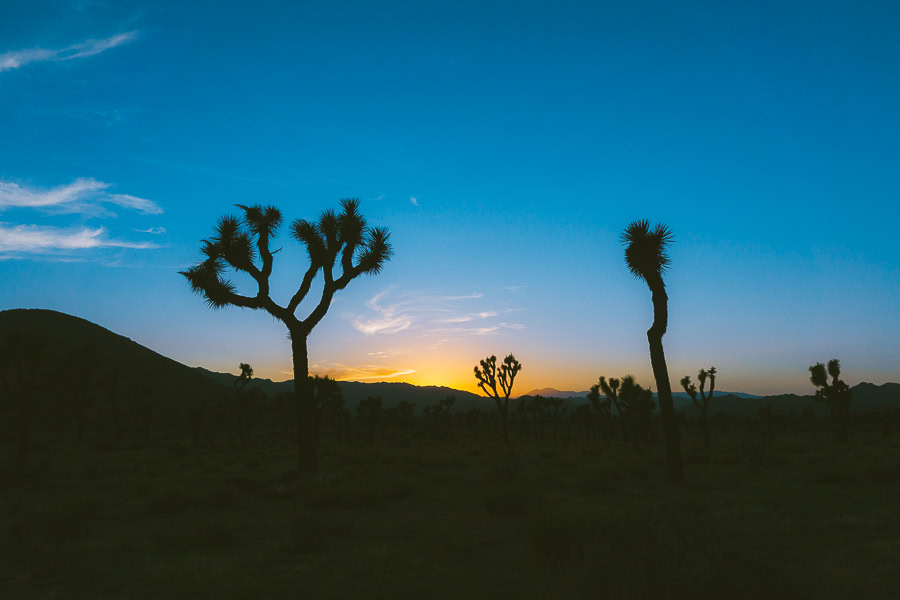 Hiking in the Desert