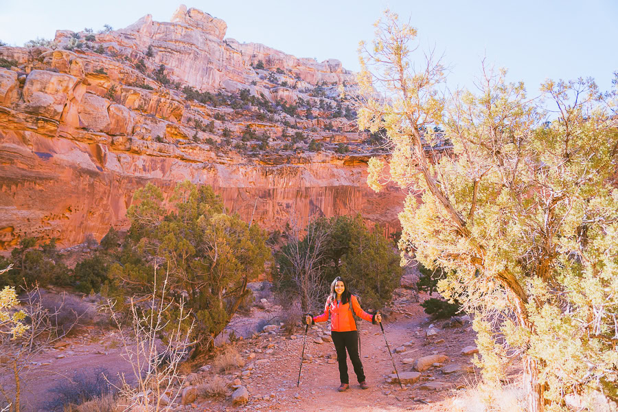 Hiking in the Desert