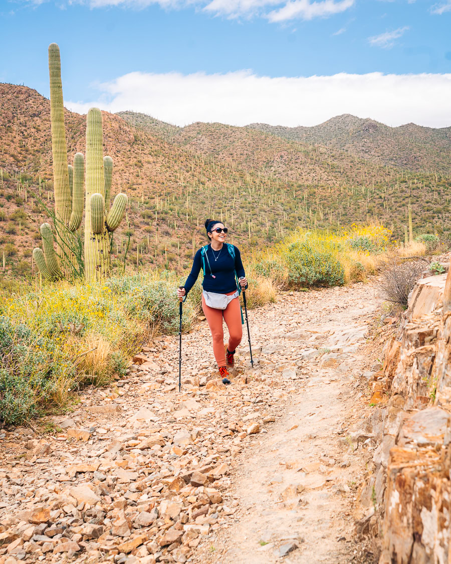 Hiking in the Desert