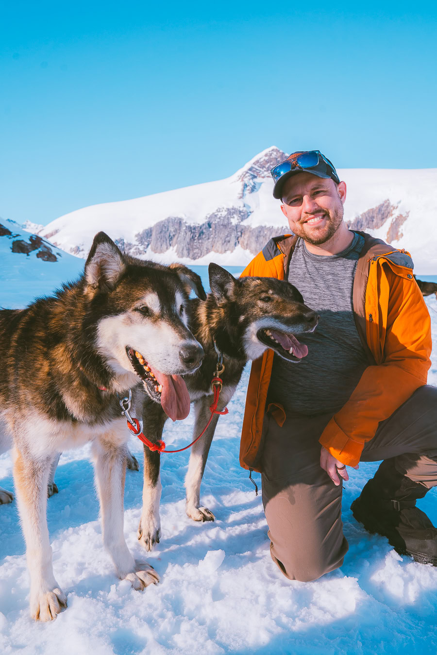 juneau dog sledding & glacier helicopter tour