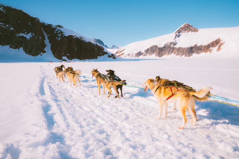 Tips for the Juneau Dog Sledding & Glacier Helicopter Tour