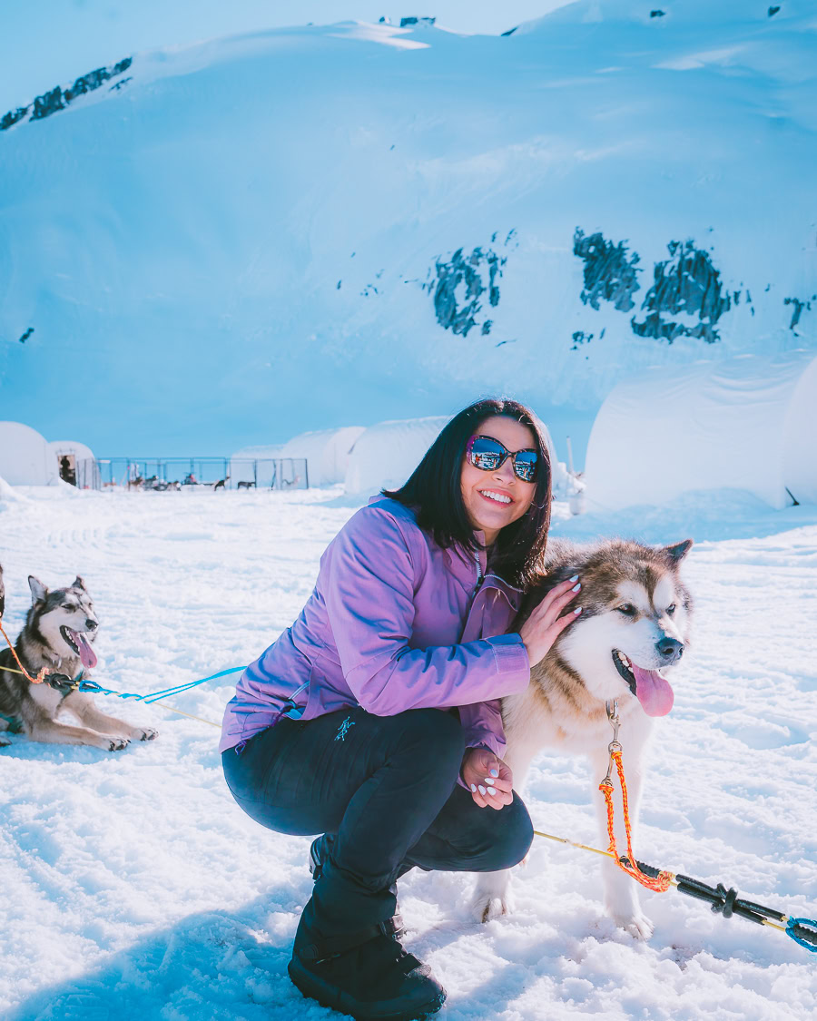 juneau dog sledding & glacier helicopter tour