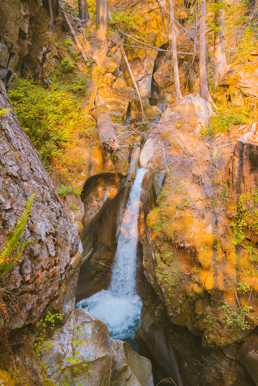 Seattle to North Cascades National Park