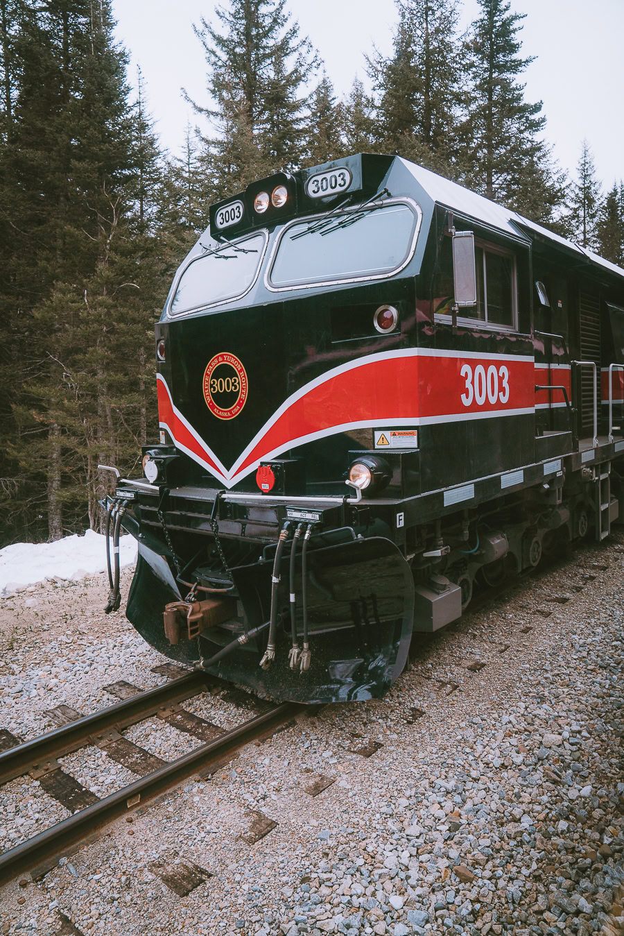 Skagway Train Tour