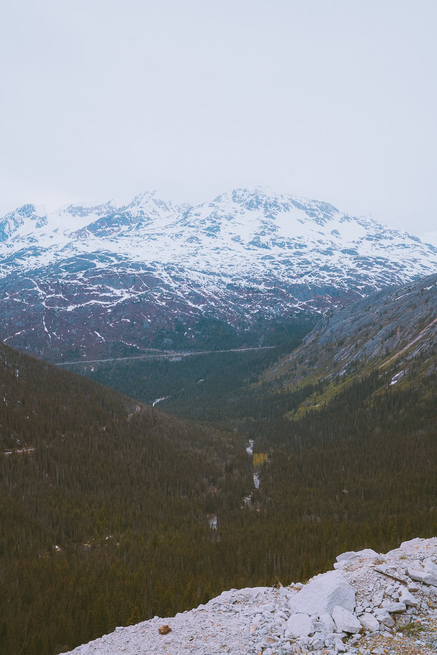 Skagway Train Tour