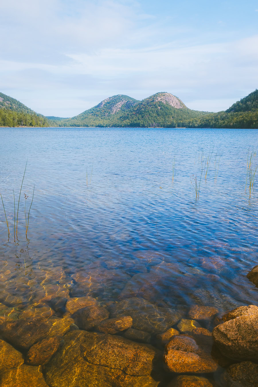 Best Time to Visit Acadia National Park