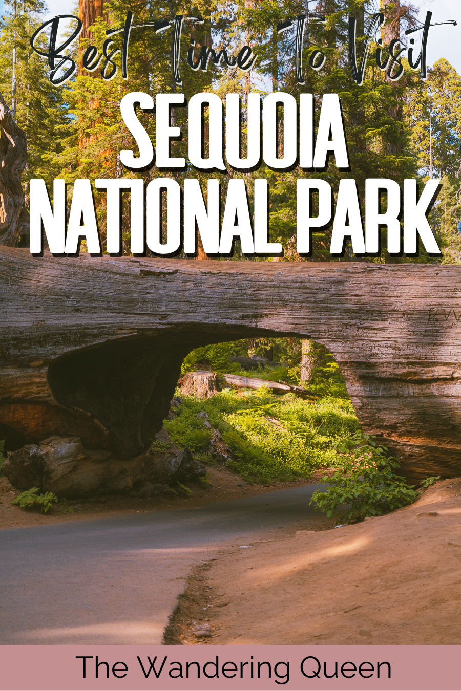 Best Time To Visit Sequoia National Park