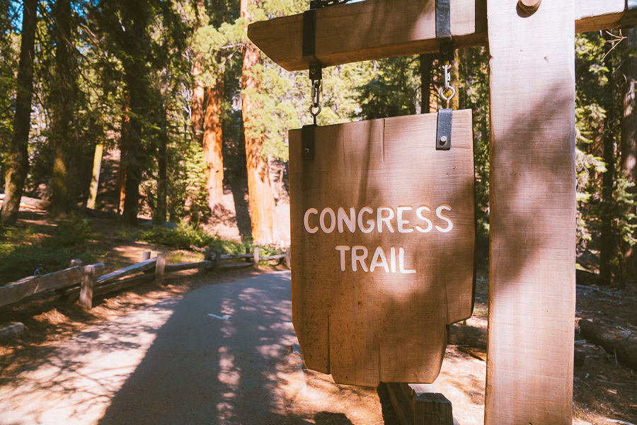 Best Time To Visit Sequoia National Park