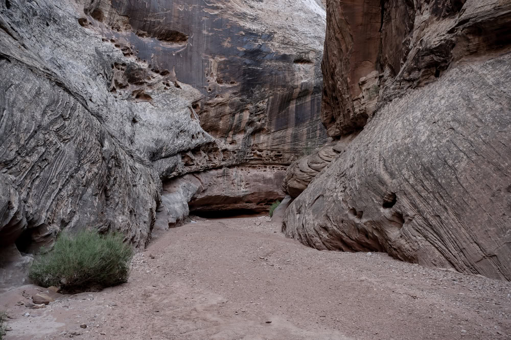 Best Time to Visit Capitol Reef National Park