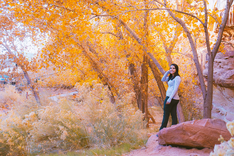 Best Time to Visit Capitol Reef National Park