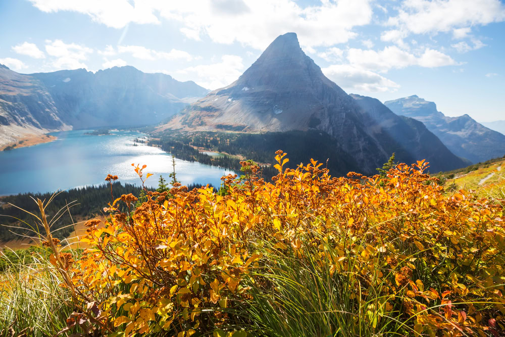 best time to visit glacier national park