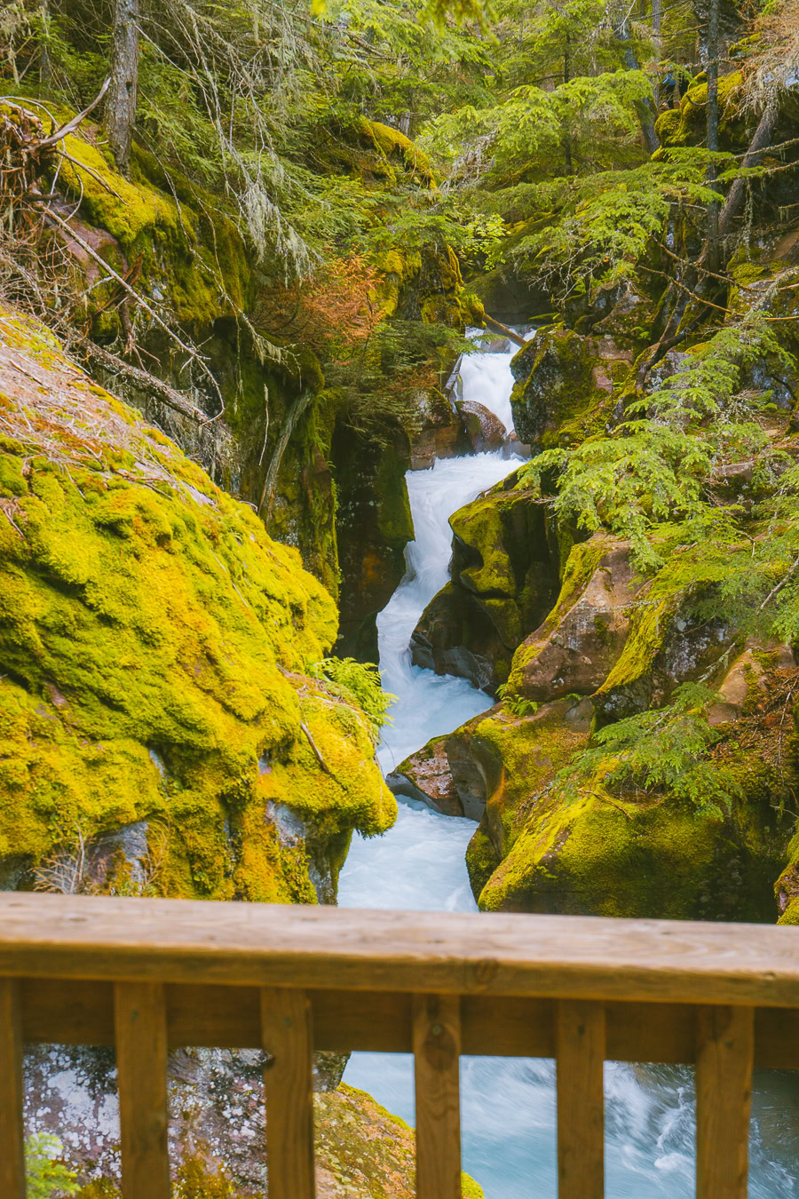 best time to visit glacier national park