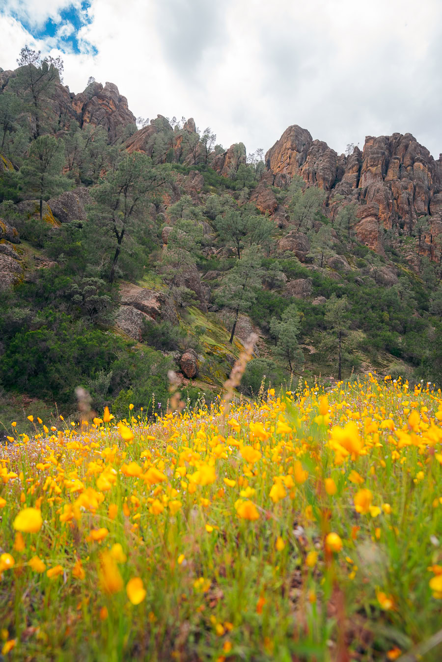 Things to Do in Pinnacles National Park