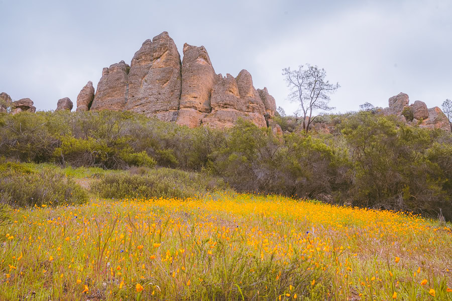 Things to Do in Pinnacles National Park