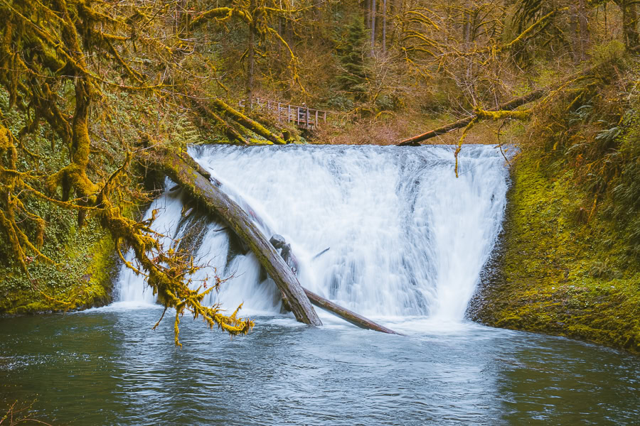 Trail of Ten Falls