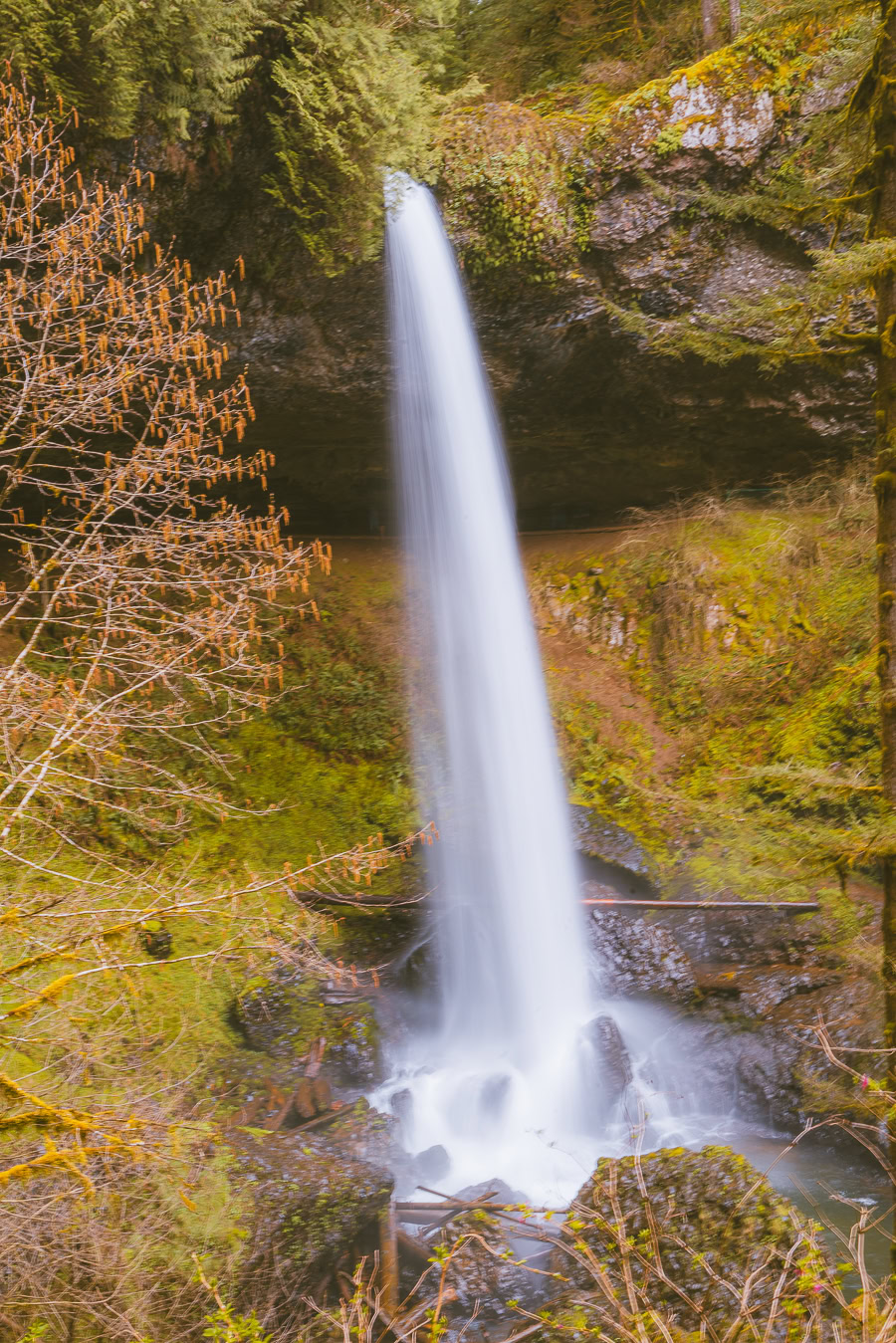 Trail of Ten Falls