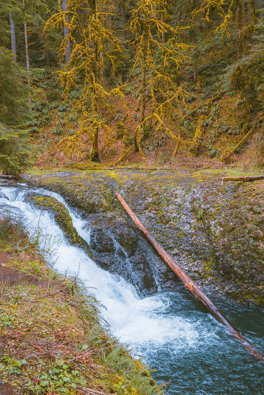 Trail of Ten Falls