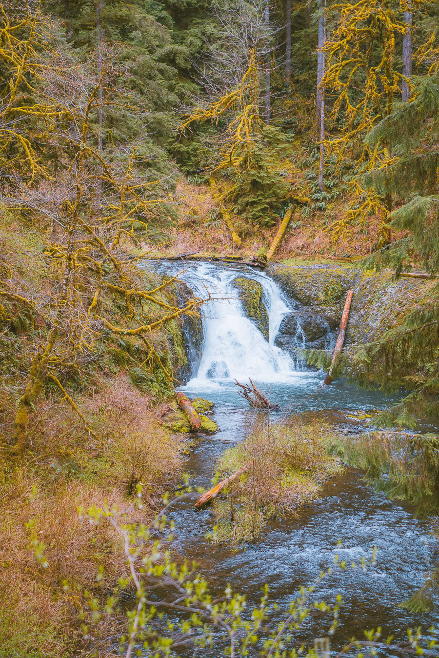 Trail of Ten Falls